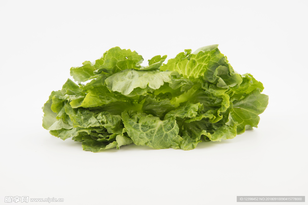 生菜