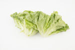 生菜