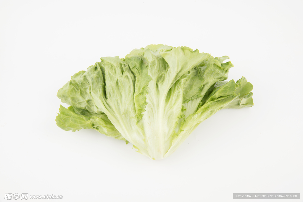 生菜