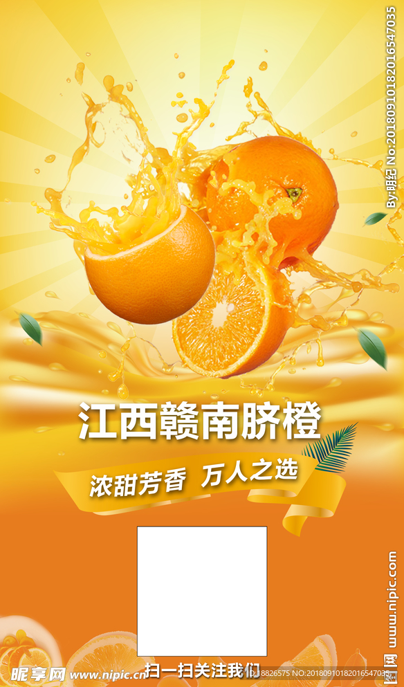 橙展架