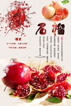 石榴画报