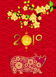 2019猪年