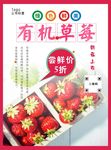 草莓海报