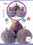 无花果海报