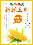 玉米海报