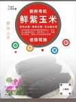 紫玉米海报