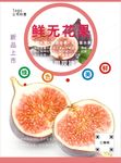 无花果海报