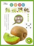 猕猴桃海报