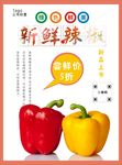 辣椒海报