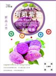 紫薯海报