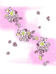 花纹