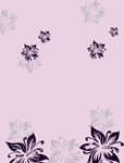 花纹