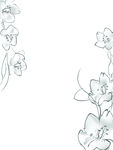 花纹