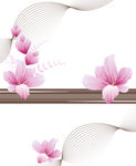 花纹