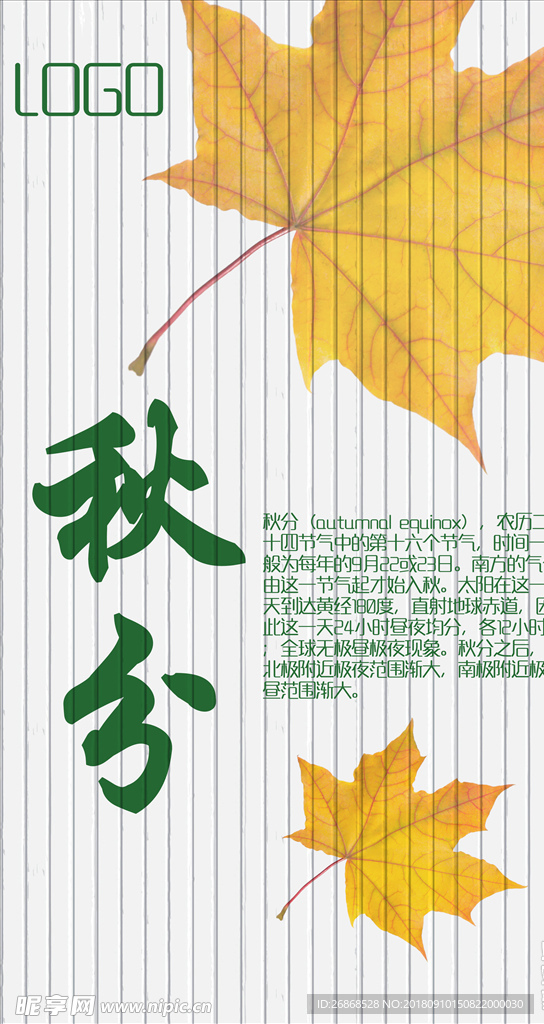 秋分 撞色 简约 大气 枫叶