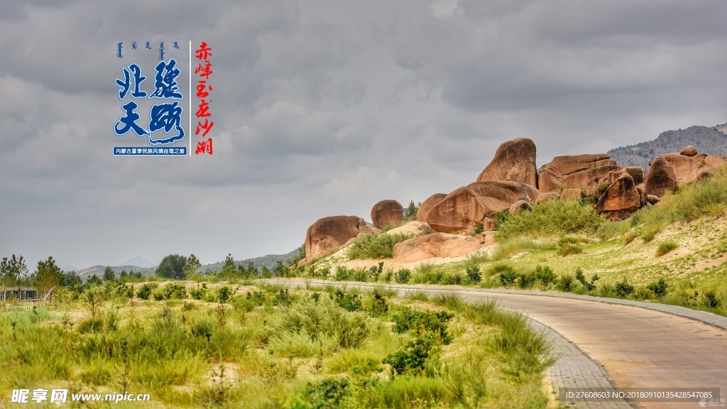 沙漠 骆驼 旅游 观光 蓝天