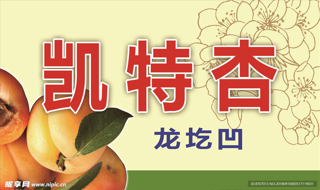 凯特杏