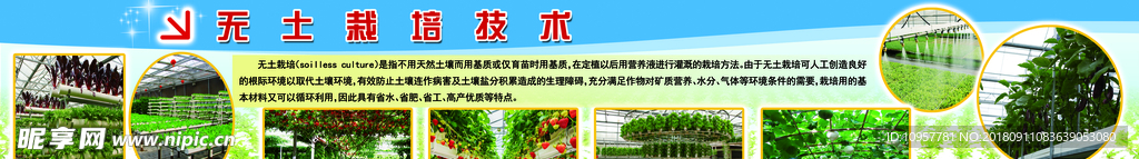无土栽培技术