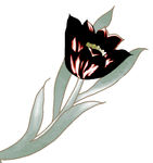 数码印花图案