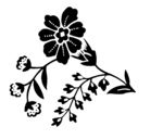 数码印花图案