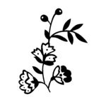 数码印花图案
