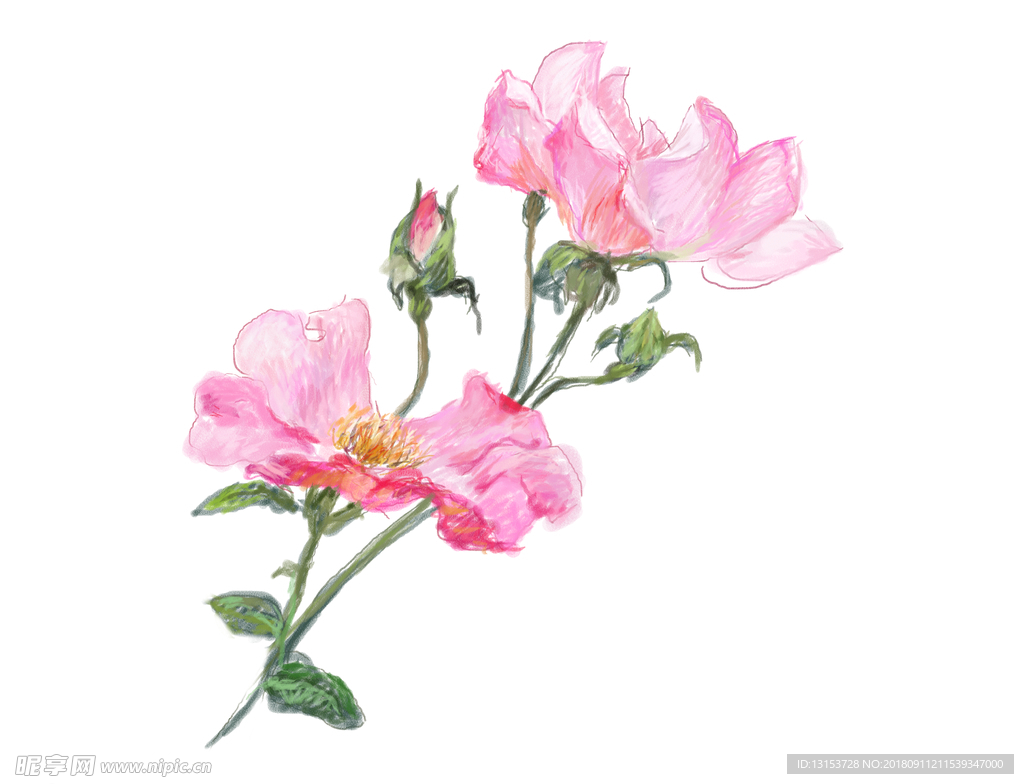 数码印花图案