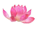 数码印花图案