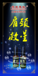 蒙王养生宣传海报