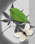 艺术花