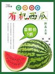 西瓜海报
