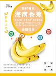 香蕉海报