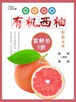 西柚海报