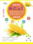 玉米海报