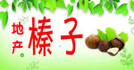 榛子