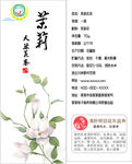 茉莉花