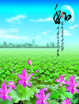 荷花