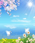 草地  天鹅