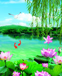 荷花
