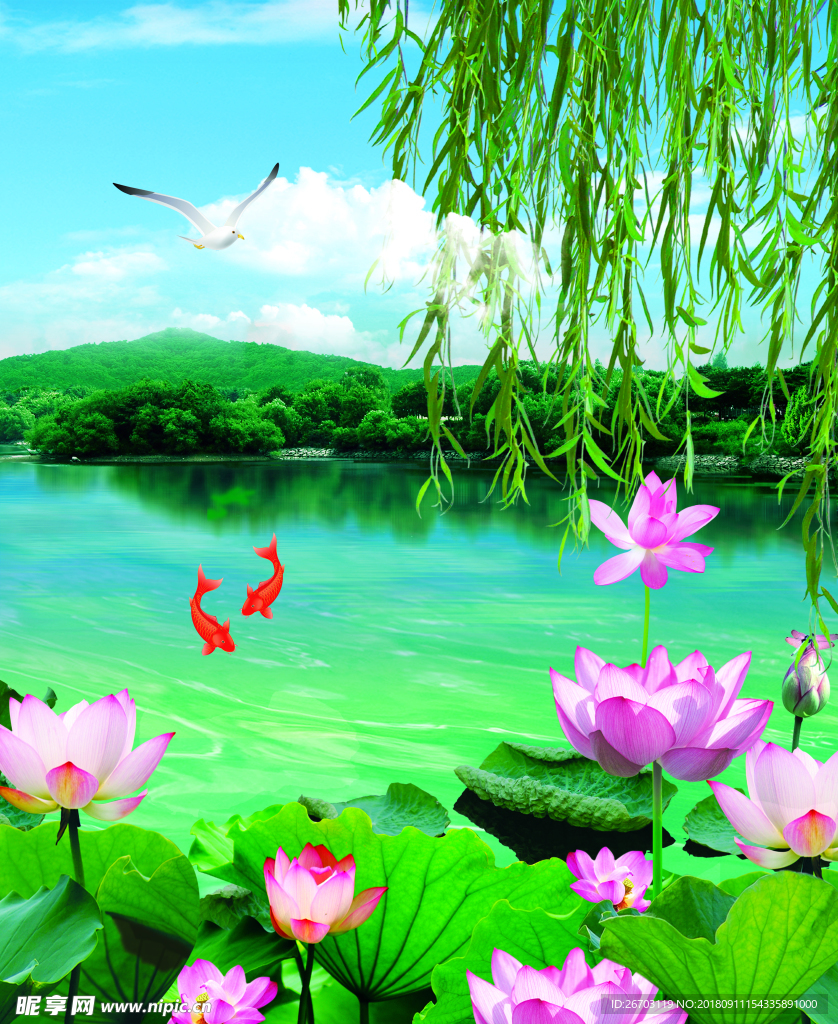 荷花