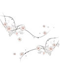 花纹