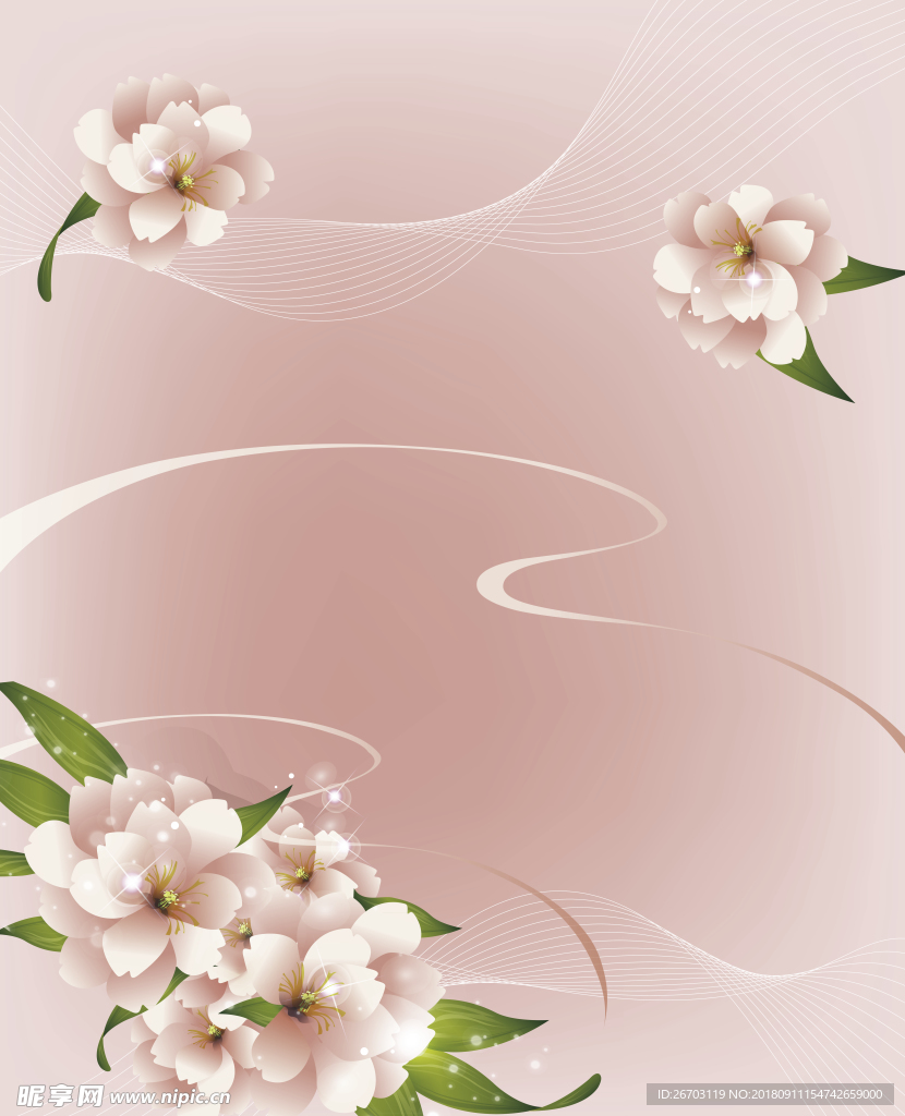 花朵