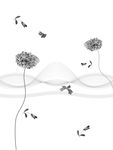 花纹  曲线