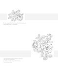 花纹