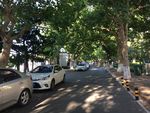 马路