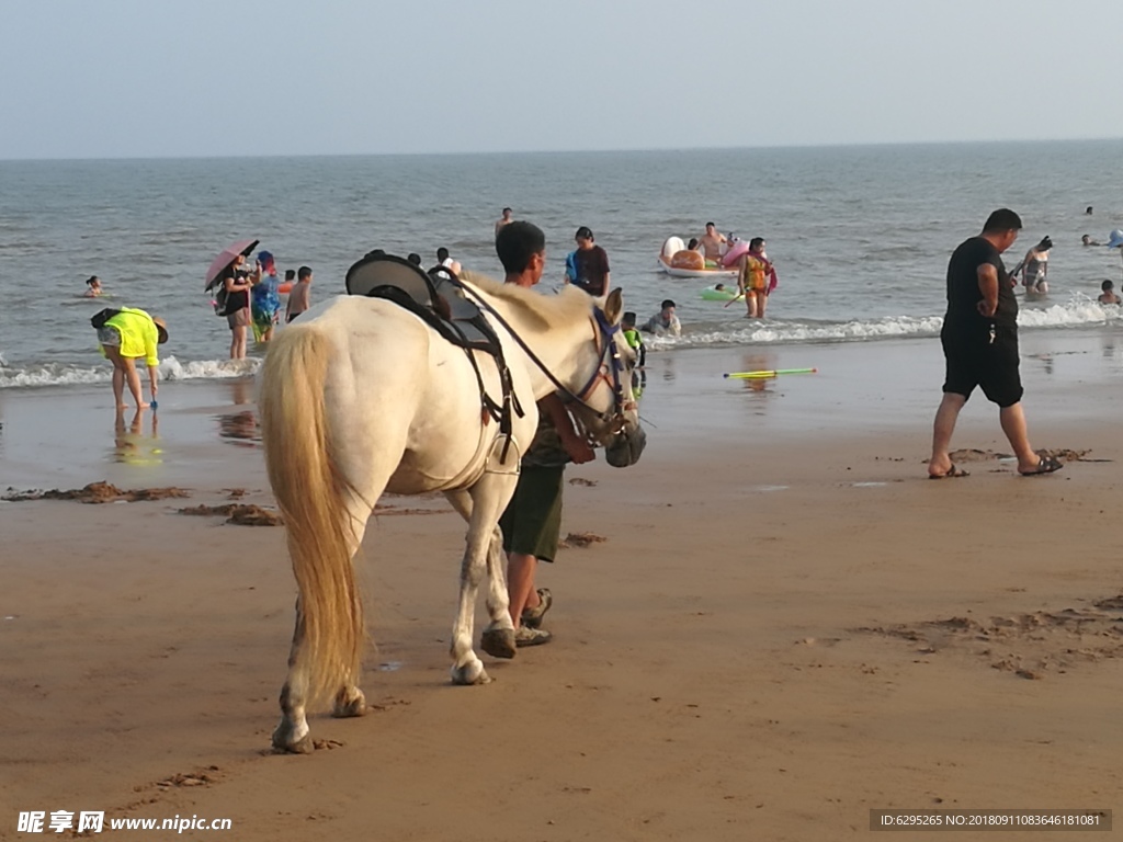 海边牵马