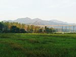 田园风光