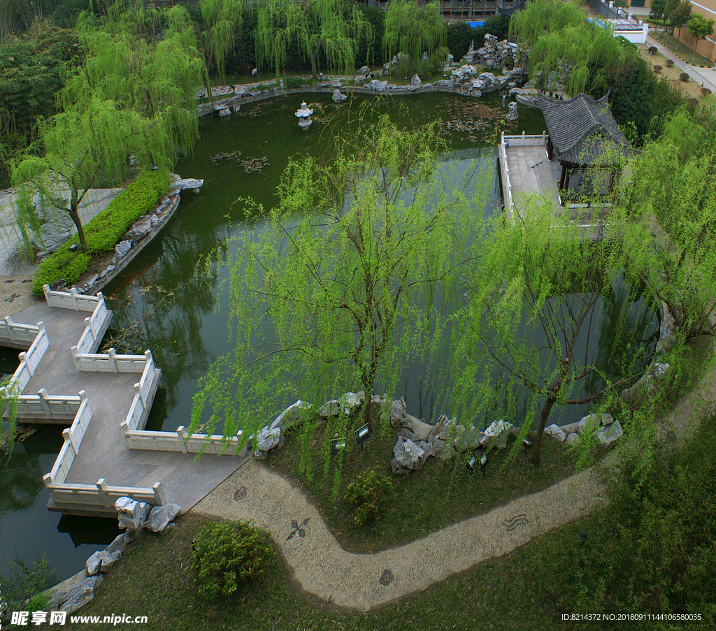 校园一角 翠岗中学 花草 建筑