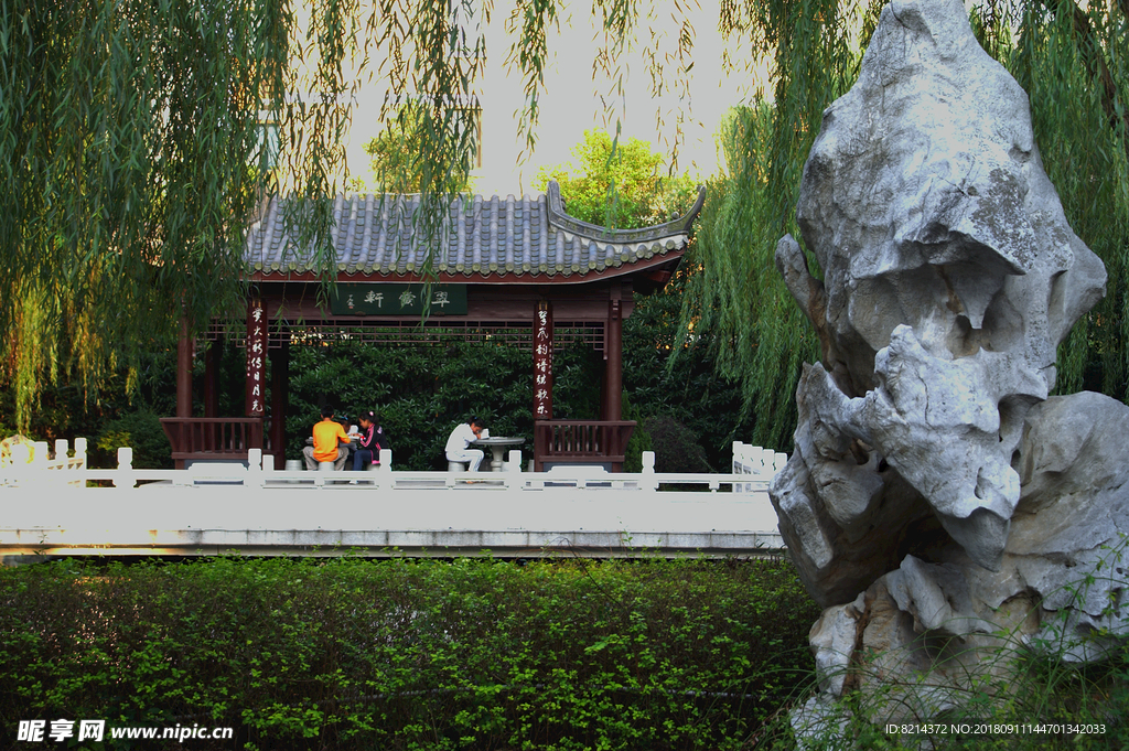 校园一角 翠岗中学 花草 建筑