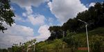 山林风景