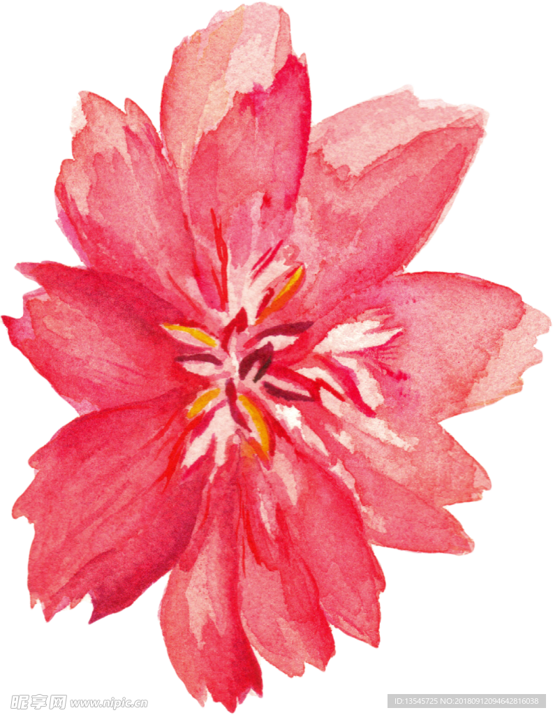 插画花